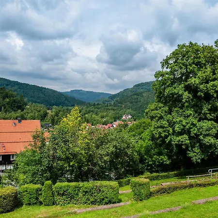 Modernes In Traumlage ランゲスハイム